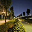 안양천(좌안) 이미지