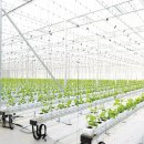 비결농장 이미지