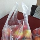 ☆크린센스☆ 핸디위생백
