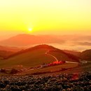 바우길 17구간 이미지