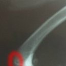 위니펫동물병원 이미지