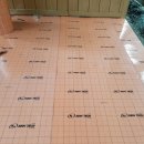 주문진활어회센타 이미지