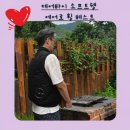 베스트크리닝 | 여름 시원한 선풍기조끼 데어바이 소프트쉘 에어로 휠 베스트