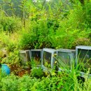 마치1리 경로당 이미지