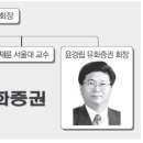 성보(성보화학) 이미지
