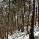 설산 매력에 푹 빠지게 되는 “소백산” 당일 등산 후기(천동~비로봉~어의곡삼거리~어의곡)(등린이가능)