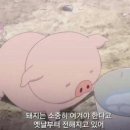 소문난칼국수 이미지