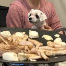 무주읍112 | 대전 수삼, 신점, 바른손카드 청첩장, 패러글라이딩, 신혼가전•가구