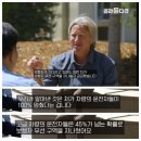 uc버클리 심리학자가 실험한 "고가차량vs저가차량 의 보행자우선구역에 대한 태도" 이미지