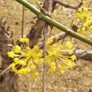 뿌리 철학B 이미지