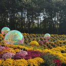 드림파크 이미지