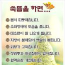 자연치유쑥뜸