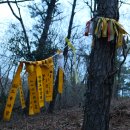 익산대로 이미지