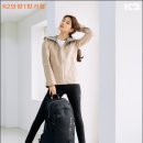 플라이서울