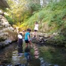 나무그늘식당 이미지