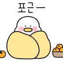 느티나무 쪽방카페 이미지