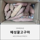 혜성환경 | 안동혜성농장 꿀고구마 후기 밤고구마도 울고 갈 건강간식의 끝판왕
