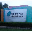 양지-2853 이미지