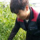 두현농장 이미지