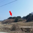 주문리 네이버블로그