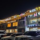 선소대교 | [전라도 여수] 선소대교뷰 소호동 술집 선소맥주 후기, 메뉴, 주차 (반려동물 동반 가능)