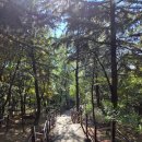 야시골공원 이미지