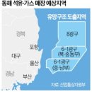 심고래
