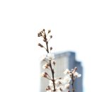 차에너지 이미지