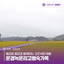 점촌마을회관 | 황금빛 들판과 함께하는 고즈넉한 여행 문경녹문리고병숙가옥