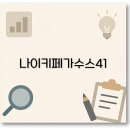 41 | 나이키 페가수스 41 고어텍스 여성 사이즈 발볼 후기 가격 깔끔 정리