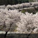 봉강그린가든 이미지