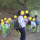 성현유치원 이미지