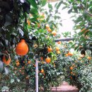 경철농장 이미지