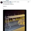 5000 유로짜리 드론을 산이유.gif 이미지