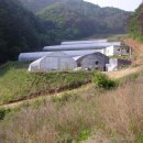 통화농장2 이미지