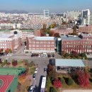 최루백로 이미지