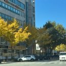 대우드림채아파트 이미지