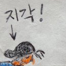 이성화헤어