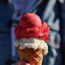 푸롤리(Fulolli) 로고