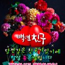 백년 친우 이미지