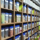 경희슬기한의원 이미지