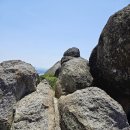 제135차정기산행 목포유달산 고하도산행트레킹 이미지