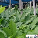 민균농장 이미지