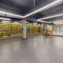 아트복싱체육관 이미지