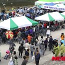 횡성한우축제장(섬강둔치) 이미지