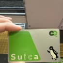 아만아파 | 🚆 도쿄 근교 다카오산 가는 법 총정리｜초보자도 가능한 산행 후기