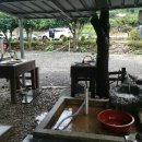 페리카나 인월점 이미지