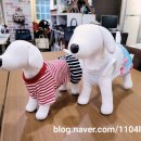 생활양재 초급 이미지