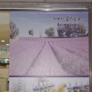 대원아로마 이미지