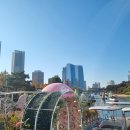 호수공원6 야생초화원 | 도심 속 힐링여행과 자연&amp;여유 서울근교 일산호수공원 아이와함께